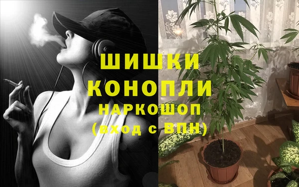 ГАЛЛЮЦИНОГЕННЫЕ ГРИБЫ Верхний Тагил