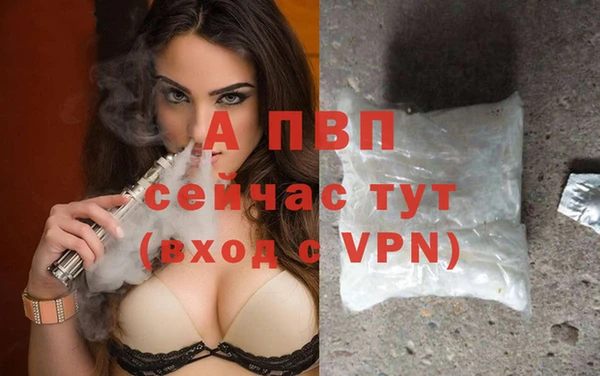 ГАЛЛЮЦИНОГЕННЫЕ ГРИБЫ Верхний Тагил