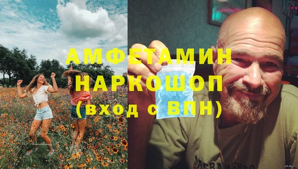 трава Верея