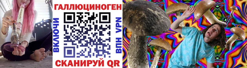 Псилоцибиновые грибы Magic Shrooms  сколько стоит  Гдов 
